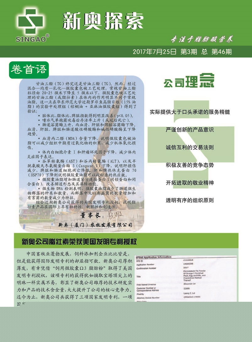 武威_2025年新澳正版资料最新更新,撕开面具模仿的全面释义、解释与落实